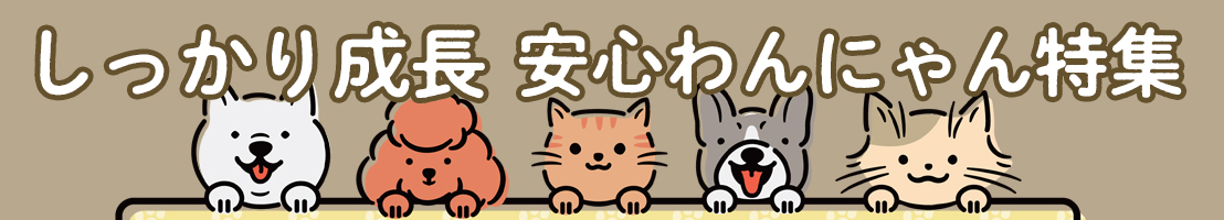成犬特集